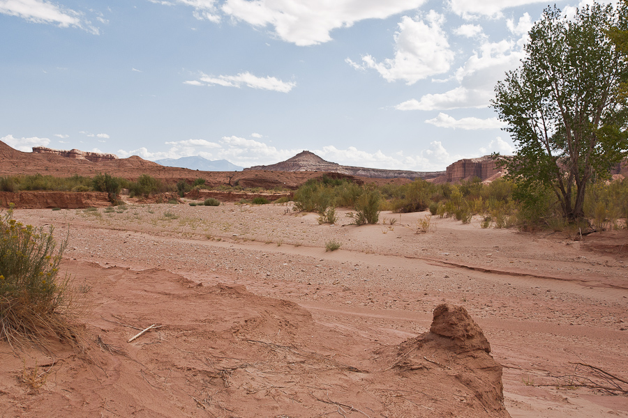 Wild Horse Creek