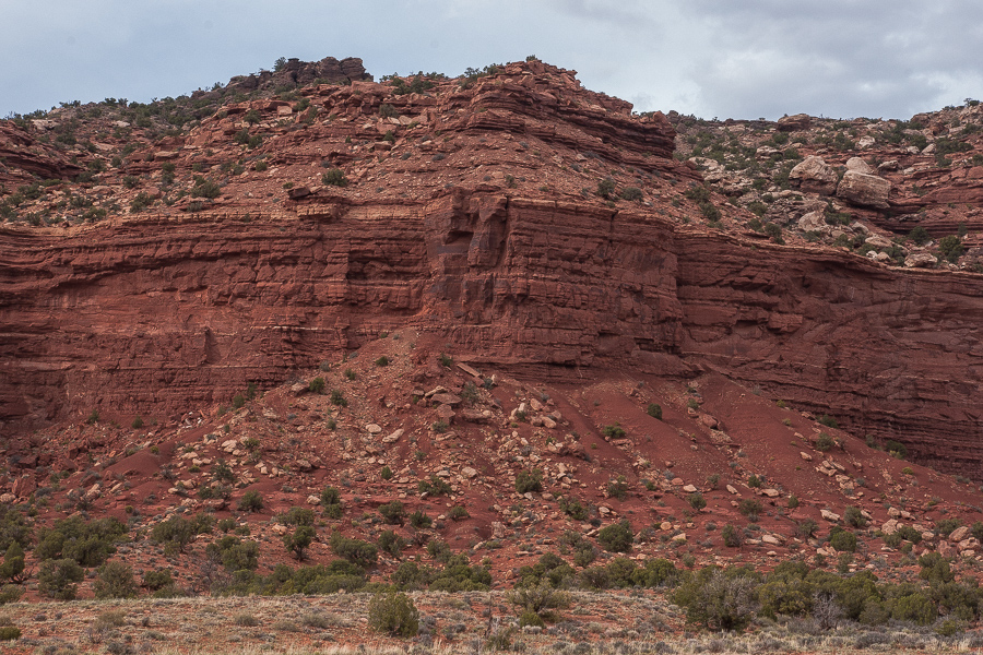 Organ Rock Cliffs