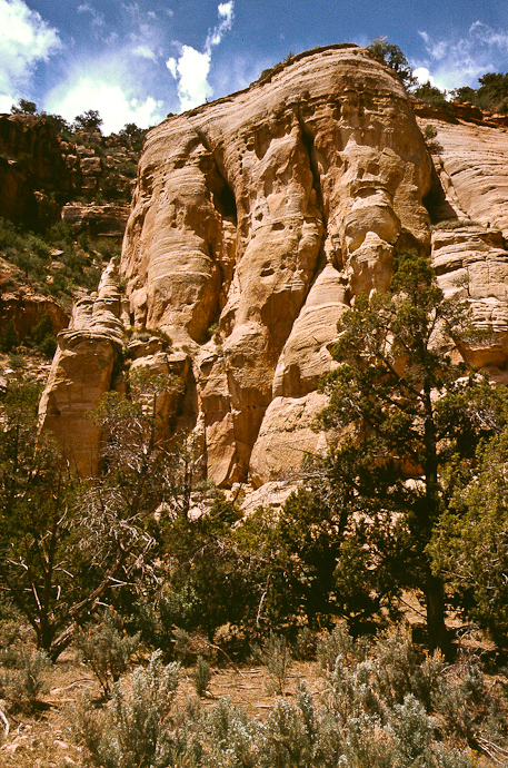 Cliffs im Montezuma Canyon