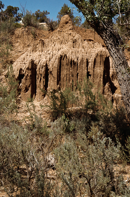 Erdsäulen im Montezuma Canyon