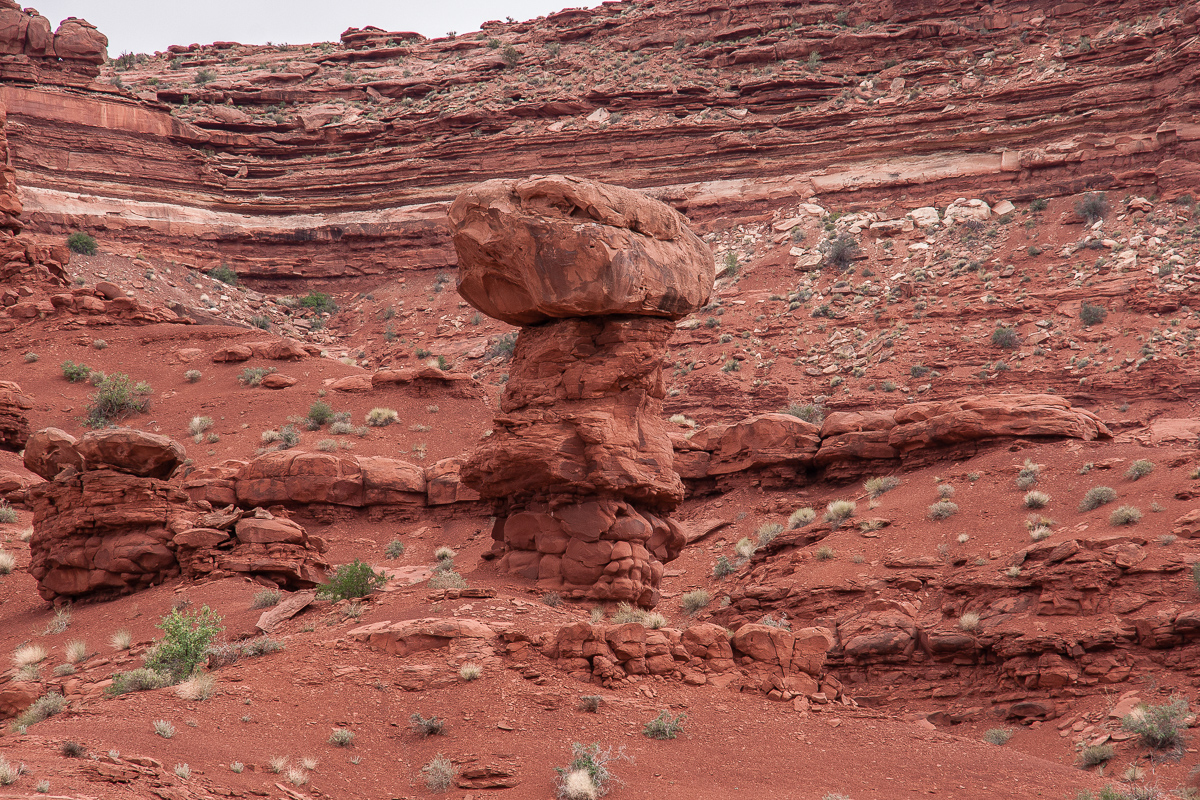 Hoodoo im White Canyon