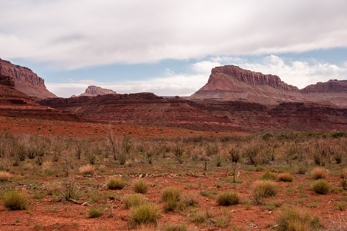 White Canyon