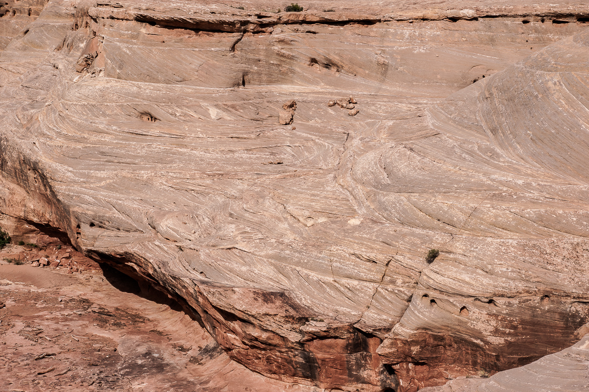 Cedar Mesa Sandstone